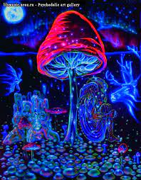 Download, share or upload your own one! 45 Trippy Mushroom Wallpaper On Wallpapersafari