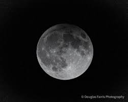 Profile for Douglas Farris Photography