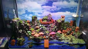 Paludarium With Terra Cota