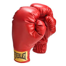 Small Laceless Boxing Training Gloves