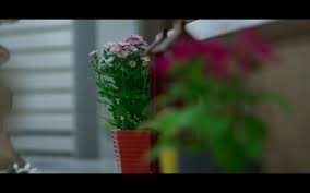 Maybe you would like to learn more about one of these? What Do Flowers Mean In Korean Dramas Korean Dramaland
