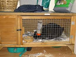 Once we had the cage system built we also built a rabbit tractor that allows the rabbits to graze on clover or grass during the day. Hutch Animal Cage Wikipedia