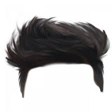 100 Best Hair Png Full Hd Transparent Images Free Download 1 Photoshop Hair Hair Png Download Hair