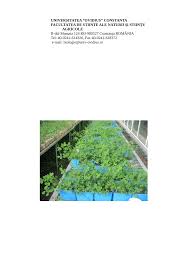 Pdf Implicatiile Micotoxinelor In Lantul Trofic Plante Furajere Animal Om