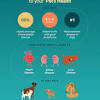 Dental disease in pets can lead to serious health problems. 1