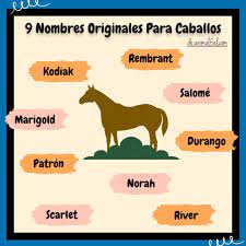 350 Nombres Originales Para Caballos Y Yeguas 2021