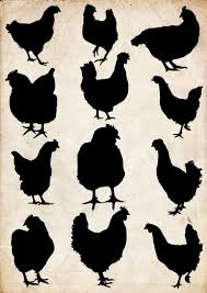 All png clipart pictures with transparent background are high quality, easy to use. Huhn Silhouette 12 Png Clipart Instant Download Clipart 12 Hochauflosende Png Hohe Auflosung 300 Dpi Dateien Silhouette Art Animal Silhouette Chicken Crafts