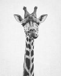 Art Black And White Animal Prints Giraffe Print Printable Art Nursery Print Black And White Nursery Decor Nursery Animal Wall Art Kids Printable Art Safari Animal Print Safari Animal Prints Animal Wall Art Animal Wall Art Nursery