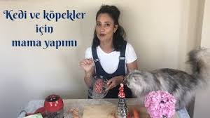 Kedi Ve Kopekler Icin Evde Kolayca Yas Ve Kuru Mama Yapimi Kendin Yap Diy