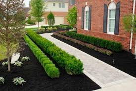 Pictures Of A Garden With Black Mulch Vs Brown Mulch Mulch Landscaping Landscape Design Garden Design