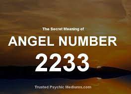 Discover What Angel Number 2233 Really Means And What Important And Secret Messages Your Angels Are Sending To Yo Angel Numbers Numerology Life Path Numerology