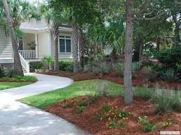 Charleston Landscape Photos Charleston Plantworks Pine Straw Landscaping Yard Landscaping Landscape Design