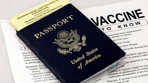 Image result for Travel Immunization