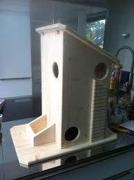 Eichhornchen Haus Nistkasten Selber Bauen Vogelhaus Ideen Eichhornchenhaus