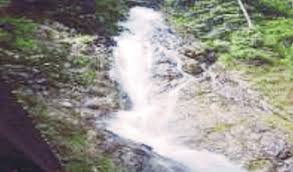 The nearest airport is kuala lumpur international airport, 25 km from family homestay port dickson. 5 Tarikan Jelebu