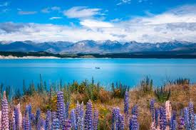 This group is all about sharing our love of photography, and our passion. 14 Stunning Landscapes You Ll Only Find In New Zealand