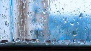 So liegen sie in deutschland meist zwischen 70 und 80 prozent. Luftfeuchtigkeit Senken Die Besten Tipps Brigitte De