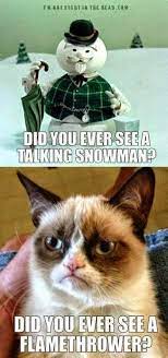 She became an overnight super star due to. Grumpy Cat Memes Funny Clean Grumpy Cat