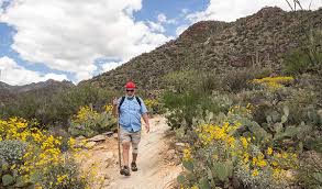 Arizona Trailblazers