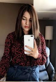 Pin On Shehnaaz Gill S Weight Loss Story