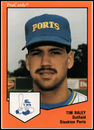 Tim Raley Baseball Price Guide