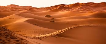Build, trade or battle with thousands of other players. Download Wallpaper 2560x1080 Desert Morocco Dune Sand Dual Wide 1080p Hd Background