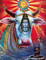 Pin On Maha Shivratri