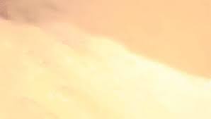 More images for yellow anime aesthetic gif » Best Pastel Yellow Gifs Gfycat