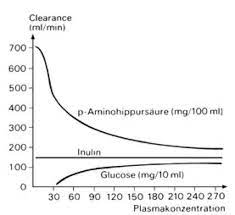 Therefore the impact of renal impairment on amprenavir and ritonavir elimination should be minimal. Clearance Lexikon Der Biologie