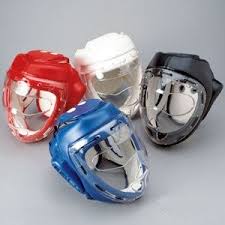 Proforce Headguard With Mask