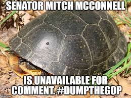My contribution to the mcconnell meme. Image Tagged In Mitch Mcconnell Turtle Dump The Gop Imgflip