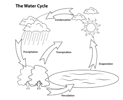 Fifth grade lesson plans are a helpful resource. 5th Grade Coloring Pages