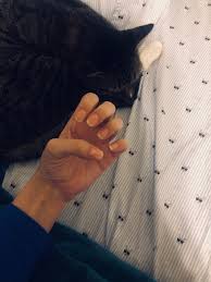Acrylic nails can go as short as the tip of your natural nails! Only A Top Coat But I Have Successfully Stopped Biting My Nails For 3 Months Now No Longer Need Acrylics To Cover Up My Chewed Nails Redditlaqueristas