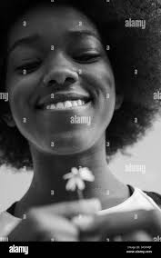 African daisy Black and White Stock Photos & Images