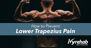 Muscle pain results when one muscle or group of muscles over time, this imbalance between the muscles of your lower back, legs and. How To Prevent Lower Trapezius Pain Ivy Rehab
