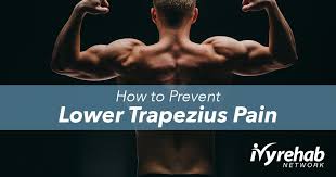 The muscles located in the lower back region play a critical role in both athletic performance and overall aesthetic appeal for the bodybuilder. How To Prevent Lower Trapezius Pain Ivy Rehab