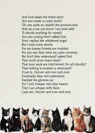 Pet Loss Poem Cat Printable Cat Memorial Cat Sympathy Cat Quote Printable Pet Lover Gift Pet Loss Poem Cat Lover Quote Pet Grief