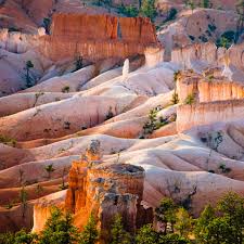 Yellowstone offers 12 campgrounds with over 2,000 sites. The Best Campgrounds Outside Yellowstone The Tetons