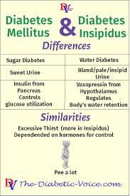Diabetes Insipidus And Diabetes Mellitus Diabetes Insipidus Diabetes Mellitus Diabetes Information
