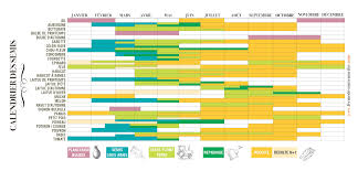 Calendrier Des Semis De La Ferme De Sainte Marthe Celerie Rave Calendrier Des Semis Navet