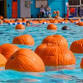 Berkeley Floating Pumpkin Patch — Ronnie's Awesome event image