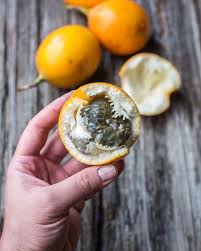 Image result for Passiflora ligularis