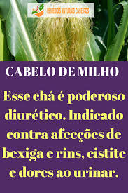 Café De Milho é Bom Para Saúde Cabelo De Milho Conheca Agora Os Beneficios Do Cha De Cabelo De Milho Para Nossa Saude Este Cha Com Imagens Remedios Naturais Receita De Remedio Caseiro Chas Medicinais