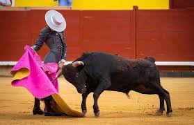 Juan Alonso: "Todo sacrificio que se haga con gusto, no cuesta tanto" -  Contrabarrera 6