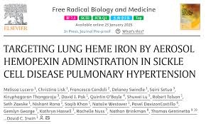 Free Radic Biol Med：通过气雾剂血红素结合蛋白给药治疗镰状细胞病肺动脉高压，靶向肺血红素铁@MedSci