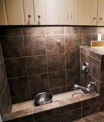 Built In Dog Bath In Laundry Room Garage Or Even Outside Brilliant Dog Bath Dog Rooms Laundry Room