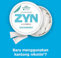 ZYN Kantong Nikotin Bebas Tembakau | ZYN Indonesia