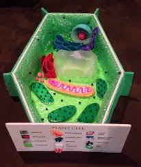 We did not find results for: How To Create 3d Plant Cell And Animal Cell Models For Science Class Animal Cell Project Biology Projects Plant Cell Project