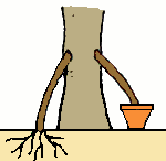 Résultat de recherche d'images pour "Inarching"