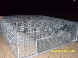 Vand custi iepuri reproductie cu un compartiment cir80/1c dimensiuni: Custi Pentru Iepuri De Vanzare Nelutu